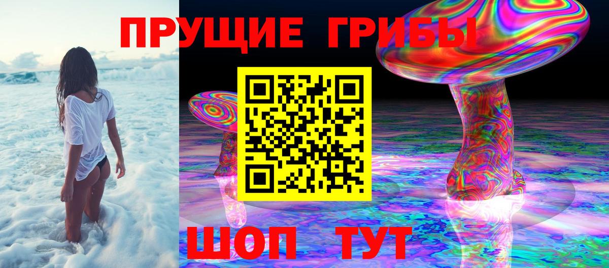 Псилоцибиновые грибы MAGIC MUSHROOMS  Вход с VPN  Петропавловск-Камчатский 